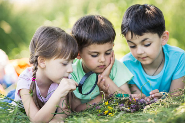 ارتباط با طبیعت و تاثیر آن بر رشد کودکان