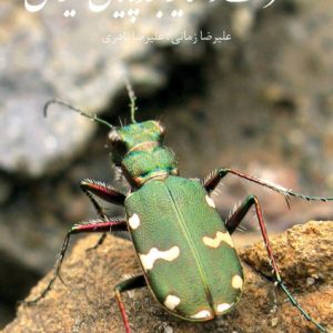 حشرات و سایربندپایان ایران